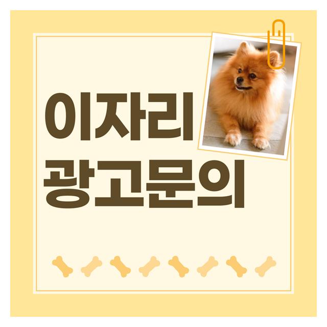 합리적인 강아지분양 광고비